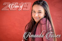 2019 Amanda Torres